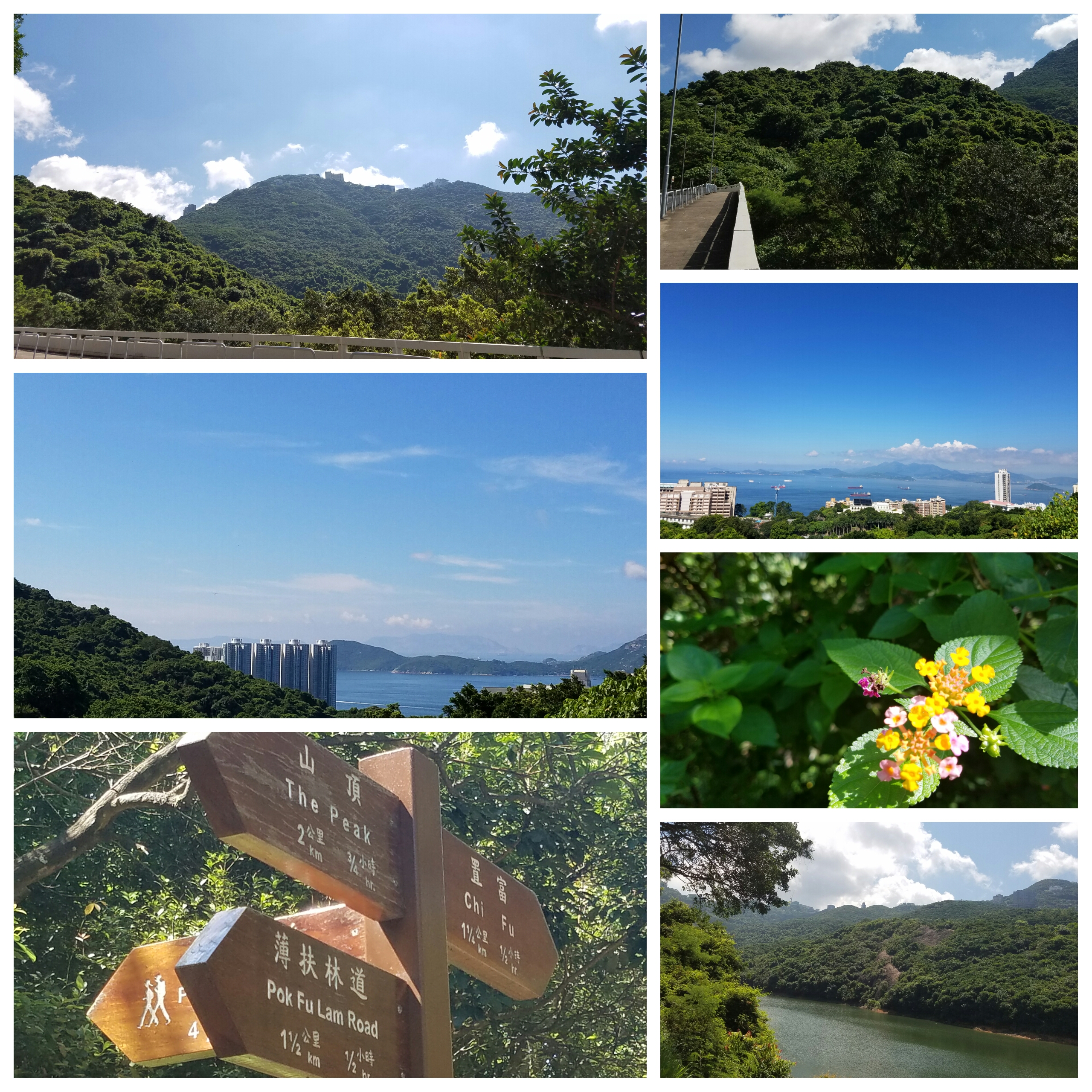 晒太陽 防治關節病
